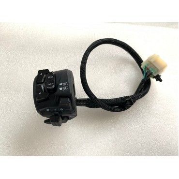 Arora Gp 250  Sol Kumanda Paneli̇