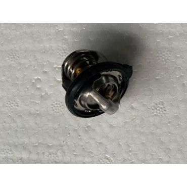 Arora Gp 250  Termostat