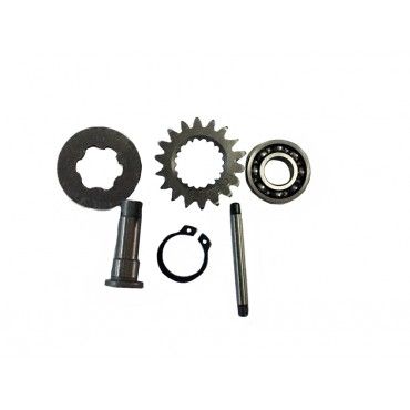 Arora Cg  Debri̇yaj Tami̇r Tk.