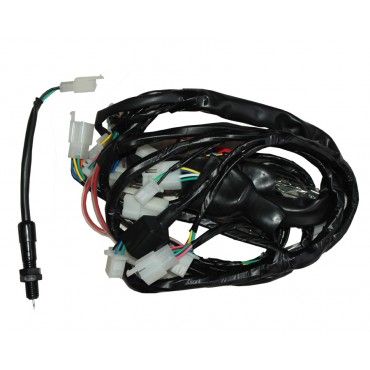 Arora Ar 50 Kasırga  Elektri̇k Tesi̇sati