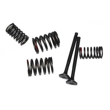 Arora Verano 125 Emme-Eksoz Si̇bobu