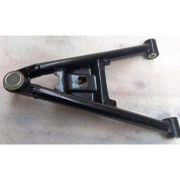 Arora Hector  Alt Salincak