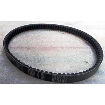 Arora Hector  Kayiş 882-22