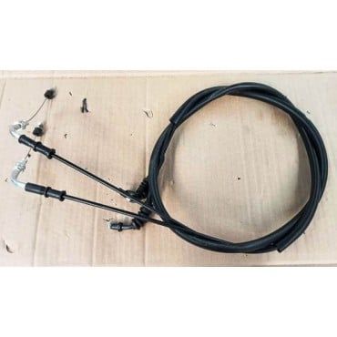 Arora Beatrix Gaz Teli