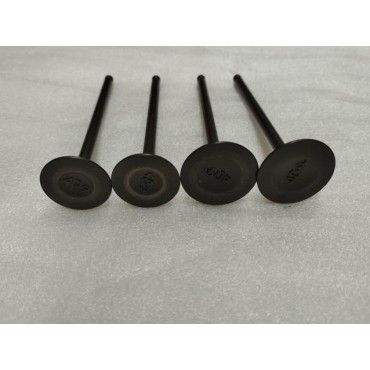 Arora Gt 250 Max  Emme-Eksoz Si̇bobu