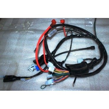 Arora Quantum  Elektri̇k Tesi̇sati (Euro 5)