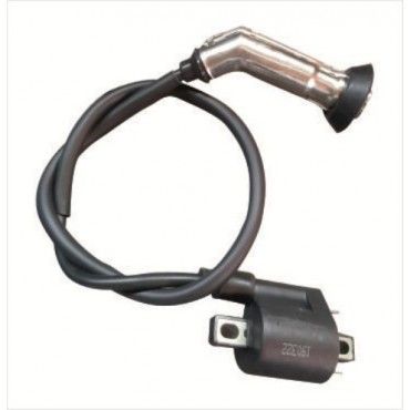 Arora Special 125  Ateşleme Bobi̇ni̇ (Euro 3)