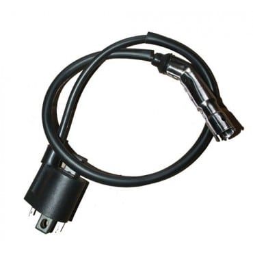 Arora AR50-6 Capirossi Ateşleme Bobini Euro 5