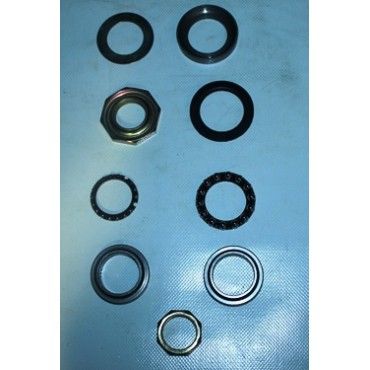 Arora Quantum  Burç Takimi